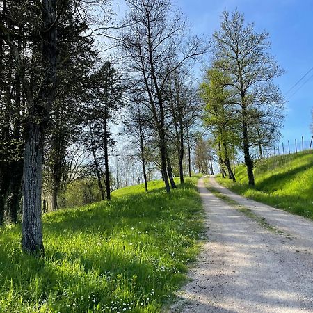 Agriturismo Podere Le Tombe Pension Palaia Buitenkant foto