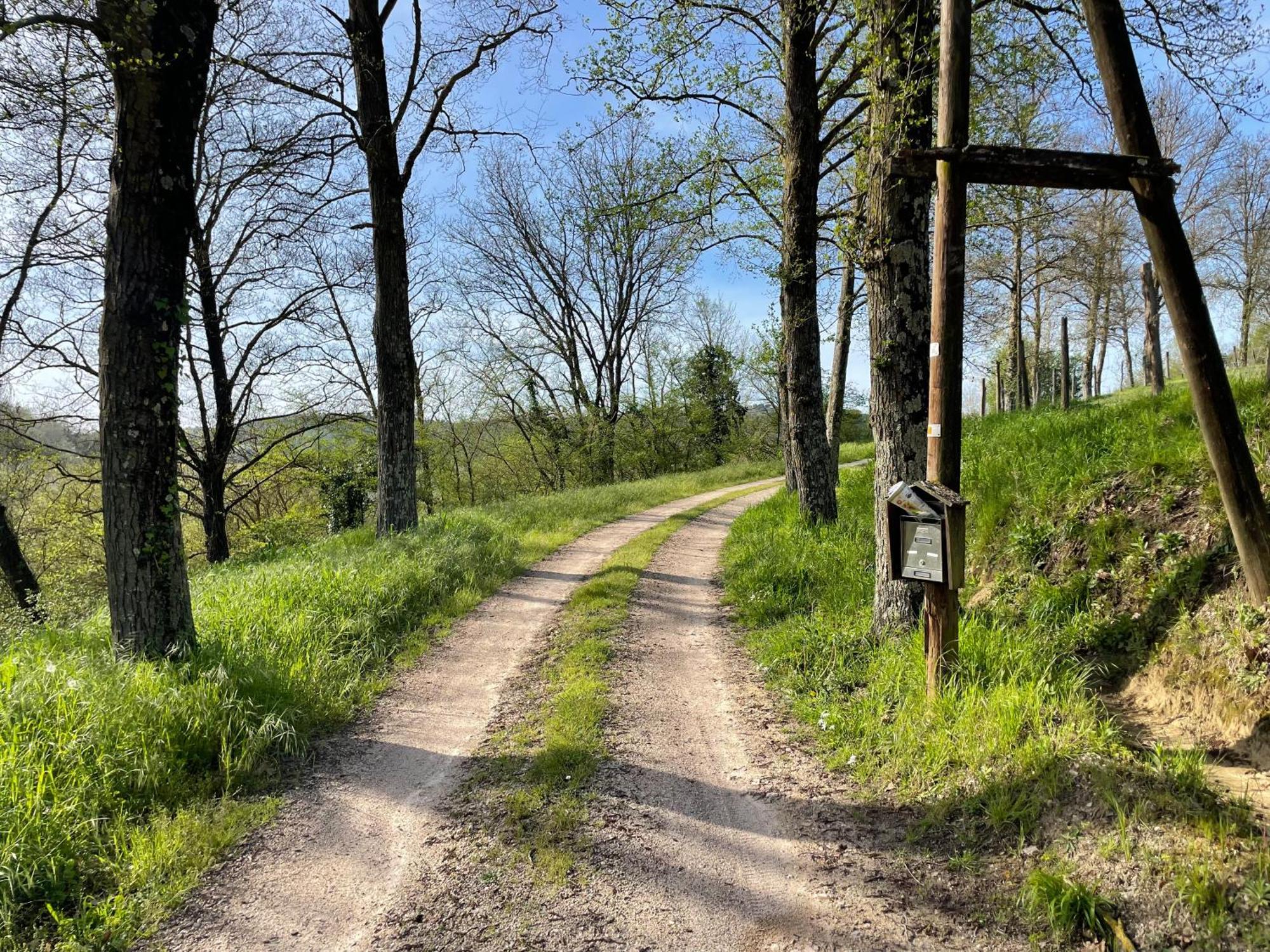 Agriturismo Podere Le Tombe Pension Palaia Buitenkant foto