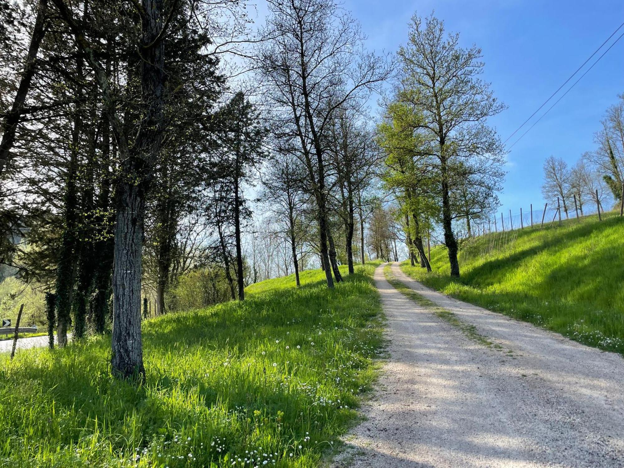 Agriturismo Podere Le Tombe Pension Palaia Buitenkant foto