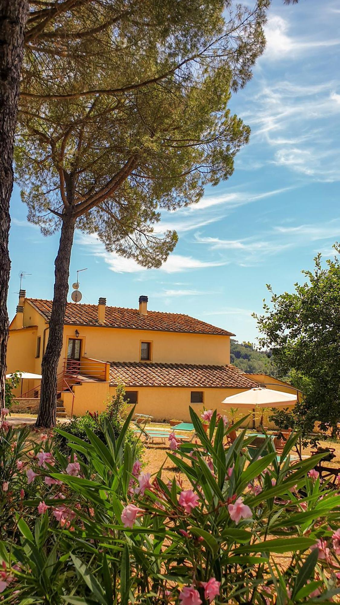 Agriturismo Podere Le Tombe Pension Palaia Kamer foto